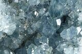 Sparkling Celestine (Celestite) Geode Section - Madagascar #364686-1